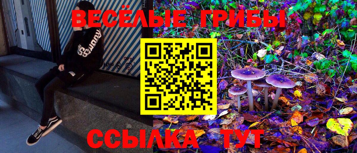 Псилоцибиновые грибы MAGIC MUSHROOMS Самара