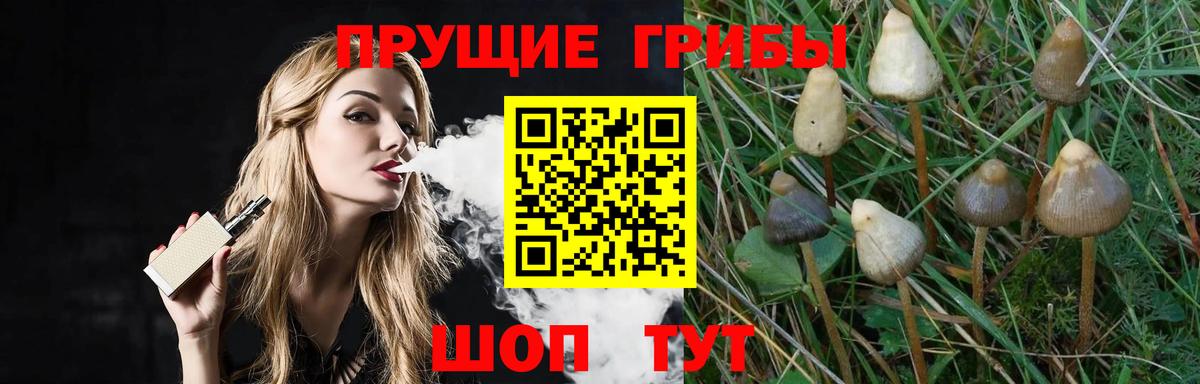 Галлюциногенные грибы Psilocybine cubensis  Вход с VPN  Самара 